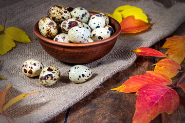 quail eggs in a ceramic bowl with autumn leaves on a dark background