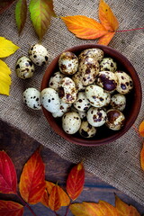 quail eggs in a ceramic bowl with autumn leaves on a dark background
