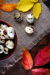 quail eggs in a ceramic bowl with autumn leaves on a dark background
