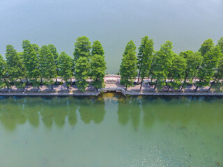 Fototapeta na wymiar Wuhan East Lake Scenic Spot scenery in summer