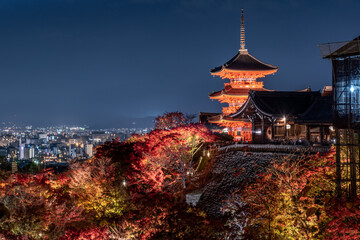 京都清水寺の秋のライトアップ