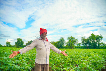 Indian farmer at cotton field