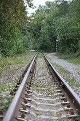 Fototapeta premium narrow gauge railway