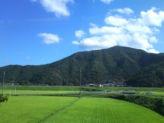 日本の田舎