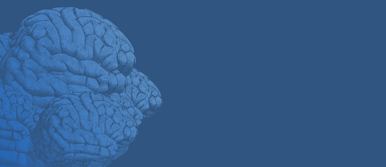 Abstract group of brains in human face shape on blue BG
