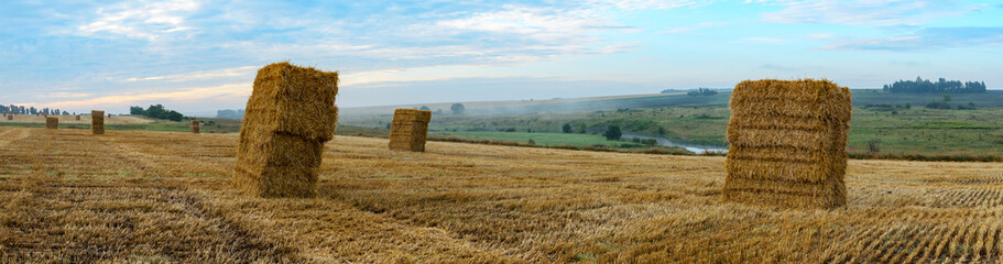 Haystacks in farm field during foggy sunrise