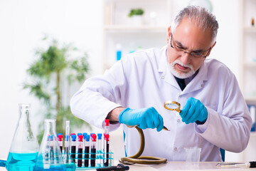 Old chemist holding snake at the science laboratory