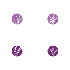 Set Lavender Logo Template vector symbol