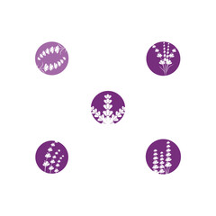 Set Lavender Logo Template vector symbol