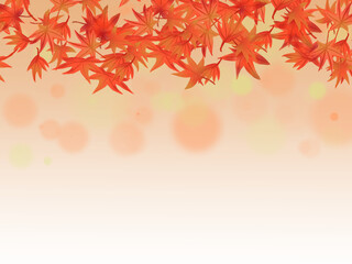 Naklejka na ściany i meble 秋をイメージした紅葉の背景イラスト