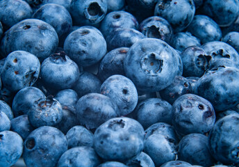 close-up of a group of ripe blueberries