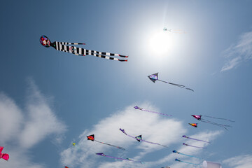 Kites with blue sky and white clouds