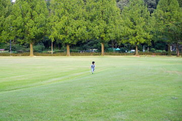 Fototapeta premium 岐阜県の公園で遊ぶ幼稚園児