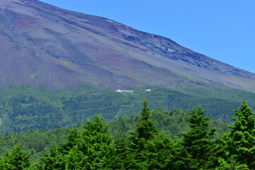 The signs of autumn are all around us.
