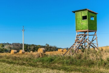 Hogs watchtower on a summer morning, hunting tower. Lookout tower for hunting. Agricultural...