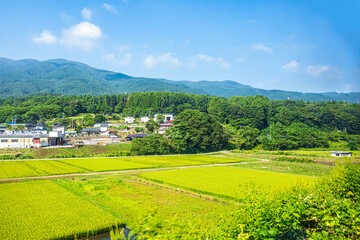 【田園風景】日本の里山風景