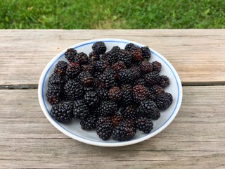 Ripe blackberries in a plate.