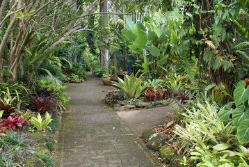 Tropical outdoor rainforest garden room with bromeliads and palm trees