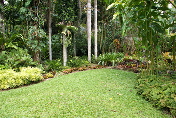 Tropical rainforest garden room, North Queensland
