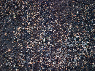 small stones, the old road, wet earth