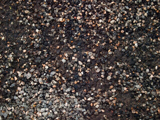 small stones, the old road, wet earth