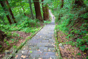 羽黒山参道杉並木と石段