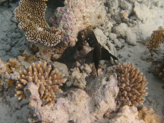 Kenja Bay Beach