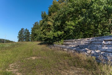 logs are stacked in large piles near the forest. Logging. Oak forest.