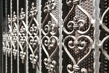 Wrought Iron Fence. Metal fence
