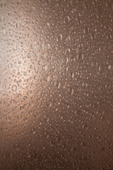 bubble texture on a translucent plastic background