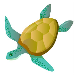 Green sea turtle in cartoon style. Vector illustration isolated on white background