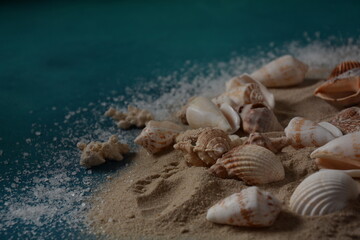 Sea shells on a sea wave color background with sand. Summer vacation concept.