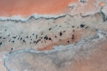 textura, salar, sal, lago de sal, sal rosada, pink