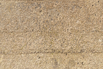 A large amount of barnacles attached to pier wall create an interesting textured pattern.