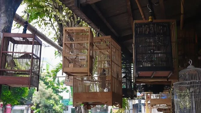 Bird cages are hanging outside for sale. Yogyakarta, Java, Indonesia