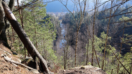 Tourist route Dovbush trail. Picturesque rocks on a hiking trail in a forest mountain near the village of Yaremche in autumn. Beautiful pine forest on a sunny day. Ukraine, Carpathians