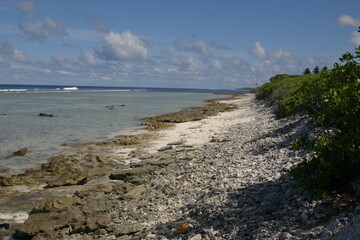 Kenya Natur Landschaft