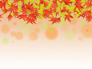 秋をイメージした紅葉と銀杏の背景イラスト