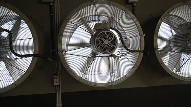 Working large industrial fans in a production area. Rotating fan blades.