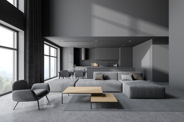 Grey kitchen and living room interior