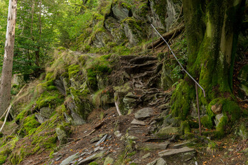 Fototapeta na wymiar Forrest path near the german village Monschau