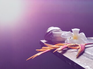 Facial cosmetic cream container and Heliconia flower,Frangipani flowers on old wood plank.Rustic still life,soft dark tone,dimly light,with lens flare,free space for your text design or your products.