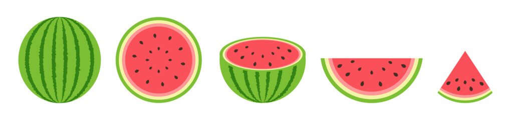 Vector set of whole and slices watermelon on white background. Fresh and juicy fruit. Vector illustration.