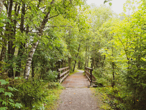 Bayerische Landschaft. Enterrottach zum Suttensee. Wunderbarer Spaziergang um den Wald am Seeufer, entlang eines Weges im Schatten hoher Kiefern und kleine Holzbr&uuml;cken &uuml;berqueren 