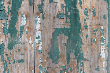 The surface of old boards, painted with blue paint, peeled off and burnt out in the sun.