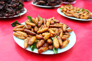 grub larvae fried, ready to eat