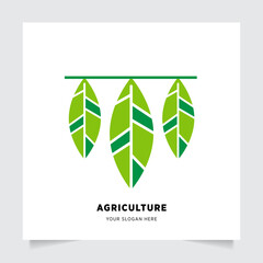 flat emblem logo design for Agriculture with the concept of green leaves vector. Green nature logo used for agricultural systems, farmers, and plantation products. logo template.