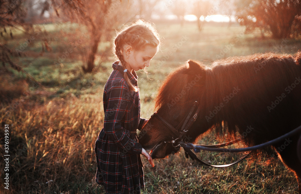 Wall mural little girl plays with horse in forest.