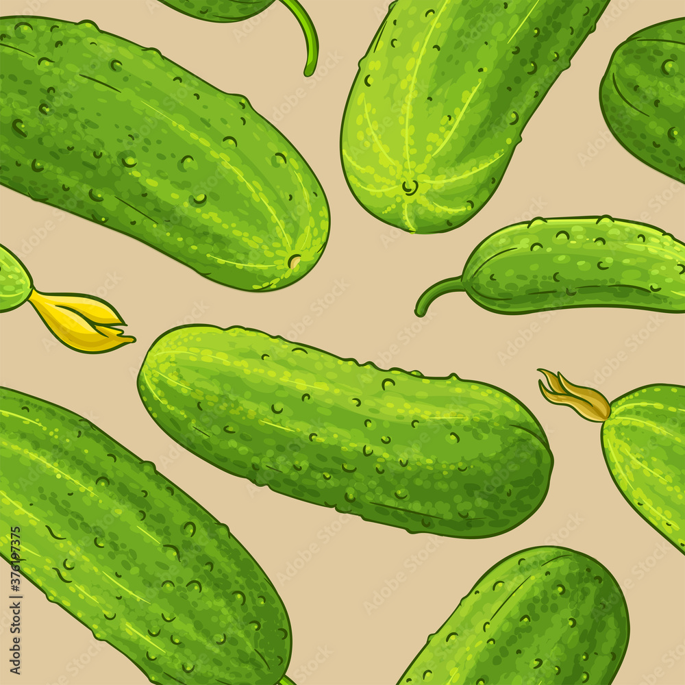 Poster cucumber vector pattern