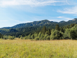 Bayerische Landschaft. Enterrottach zum Suttensee durch das idyllische Rottachtal. Tolle Ausblicke in die unberührte Natur und Mangfallgebirge